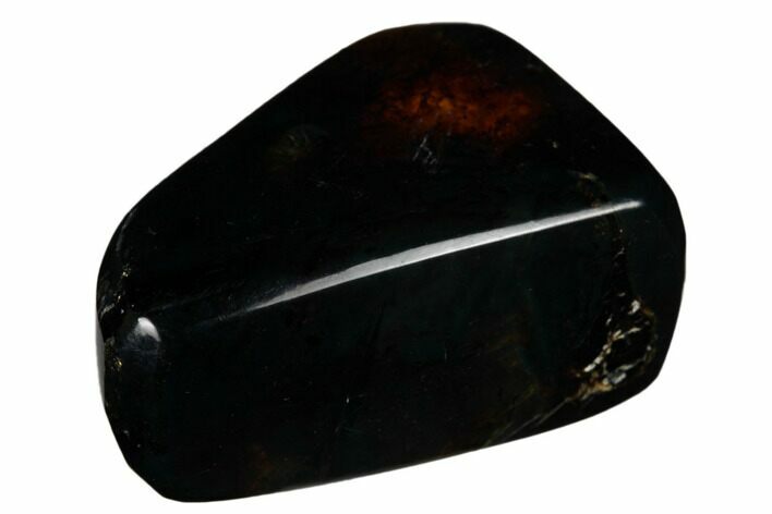 Polished Chiapas Amber ( g) - Mexico #180477